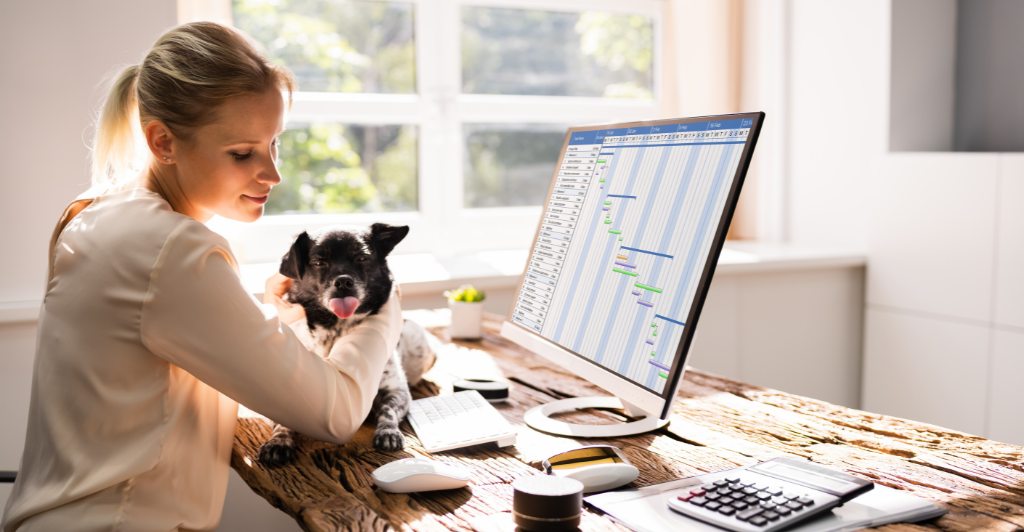 Leveraging Technology for Business Growth: The Power of Integrations and Automations